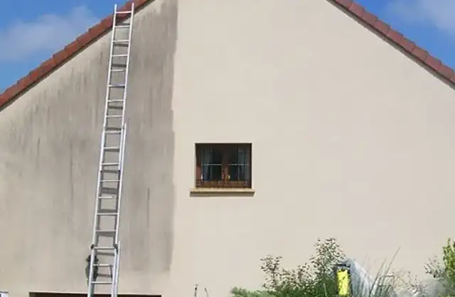 Démoussage en cours — avant / après